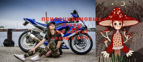 ПСИЛОЦИБИНОВЫЕ ГРИБЫ Балабаново