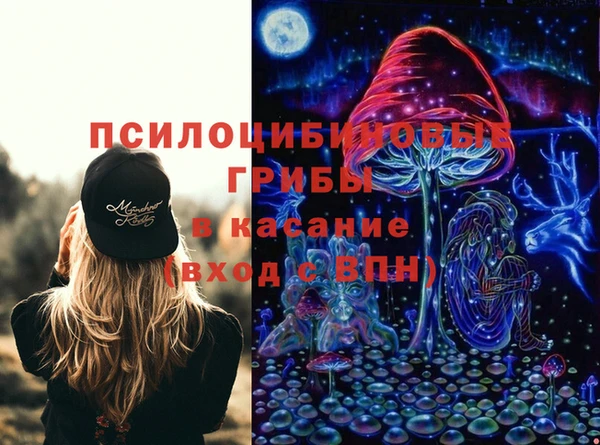 ПСИЛОЦИБИНОВЫЕ ГРИБЫ Балабаново